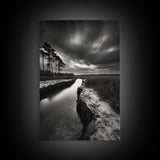 Misty Marsh Path, Moody Landscape, Nature Wall Decor, Living Room Art, Canvas Print, Black and White Photography, Autumn Wall Art