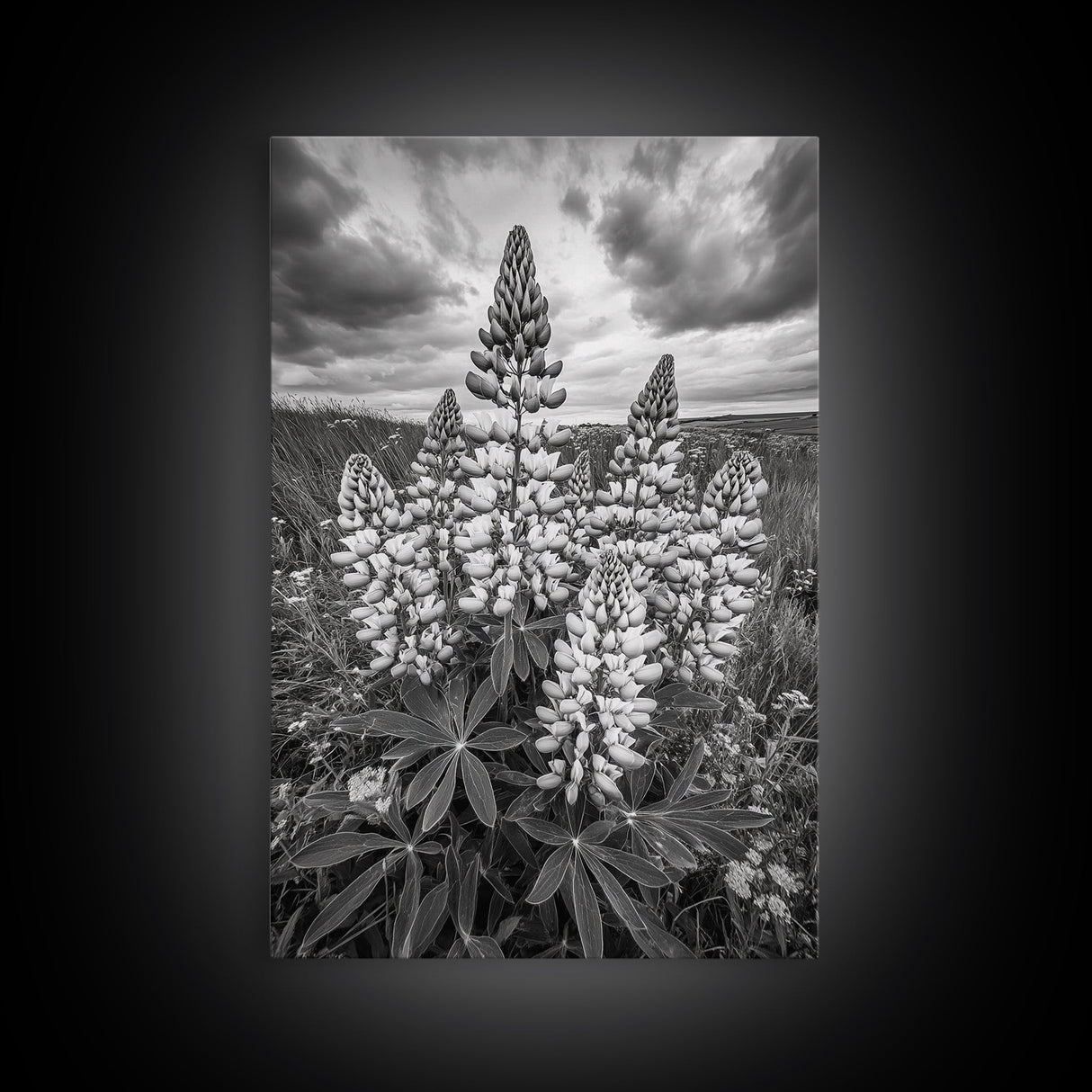 Lupine Flower Field, Bold Floral, Spring Nature Scene, Framed Canvas Print, Boho Living Room Art, Botanical Wall Decor