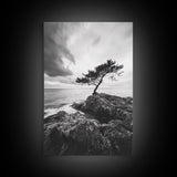 Lone Tree, Cliffside Ocean, Windy Coast Art, Framed Canvas Print, Bedroom Wall Art, Modern Nature Photography, Coastal Minimalist Decor