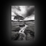 Solitary Tree, Storm Sky, Tranquil Meadow, Nature Landscape, Framed Canvas Print, Rustic Decor, Fall Wall Art, Bedroom Minimalist Art