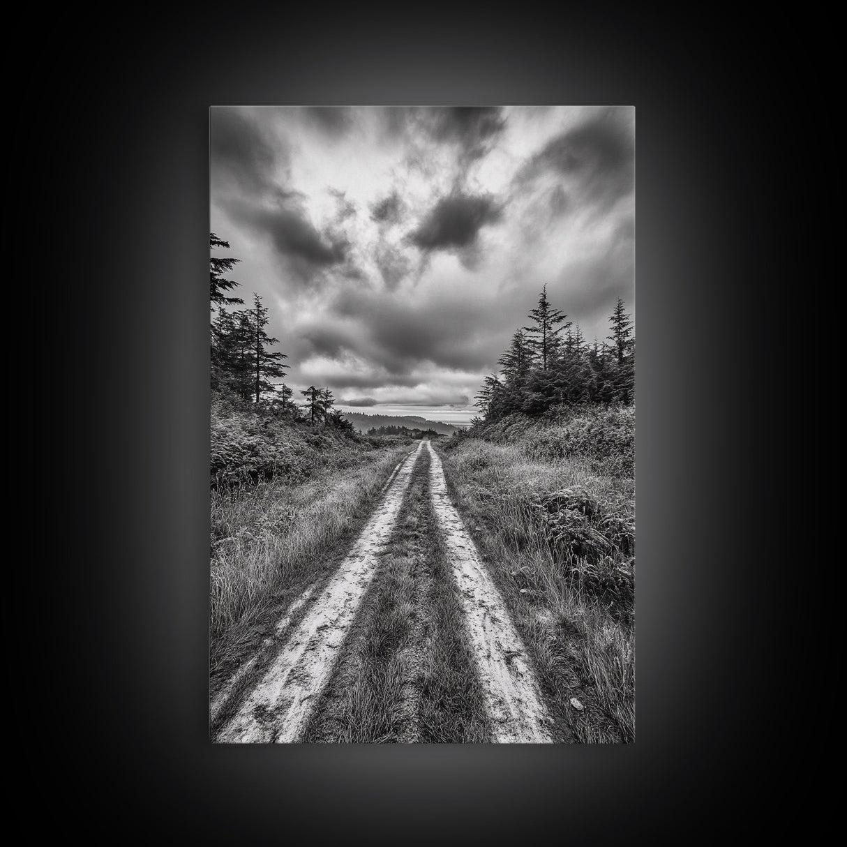 Forest Trail, Overcast Sky, Nature Pathway, Moody Landscape, Framed Canvas Print, Office Wall Art, Woodland Autumn Decor