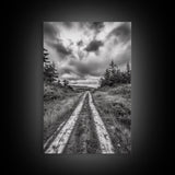 Forest Trail, Overcast Sky, Nature Pathway, Moody Landscape, Framed Canvas Print, Office Wall Art, Woodland Autumn Decor