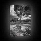 Tropical Palm, Reflected Sky, Nature Tranquility, Canvas Print, boho wall decor, bathroom art, tropical reflection photography