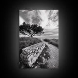 Coastal Path, Nature Trail, Windswept Tree, Framed Canvas Print, Rustic Landscape Art, Minimalist Decor, Bedroom Wall Art, Fall Vibes