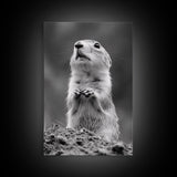 Prairie Dog, Wildlife Watch, Nature Moment, Framed Canvas Print, Whimsical Animal Wall Art, Nursery Decor, Cute Forest Creature