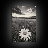 Wildflower Field, Daisy Bloom, Summer Meadow, Framed Canvas Print, Boho Botanical Wall Art, Bedroom Decor, Earthy Nature Photography
