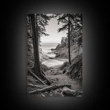 orest Cove, Ocean View, Pacific Trail, Framed Canvas Print, Coastal Nature Wall Art, Entryway Decor, Earthy Minimalist Photography
