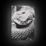 Rattlesnake Face, Coiled Closeup, Venomous Gaze, Canvas Print, Macro Wildlife Wall Art, Reptile Decor, Intense Black White Photography