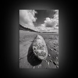 Whale Bone, Coastal Find, Ocean Relic, Framed Canvas Print, Seaside Wall Art, Beach House Decor, Nautical Minimalist Photography
