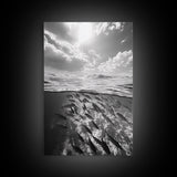 Underwater Scene, School of Fish, Ocean Photography, Split Shot Water, Framed Canvas Print, Bathroom Wall Art, Coastal Decor