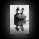 Island Reflection, Twin Trees, Still Water, Minimal Seascape, Framed Canvas Print, Bedroom Wall Art, Zen Decor, Black and White Art