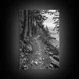 Forest Pathway Trail, Wilderness Escape, Rustic Nature, Black and White Framed Canvas Print, Cozy Cabin or Entryway Wall Art