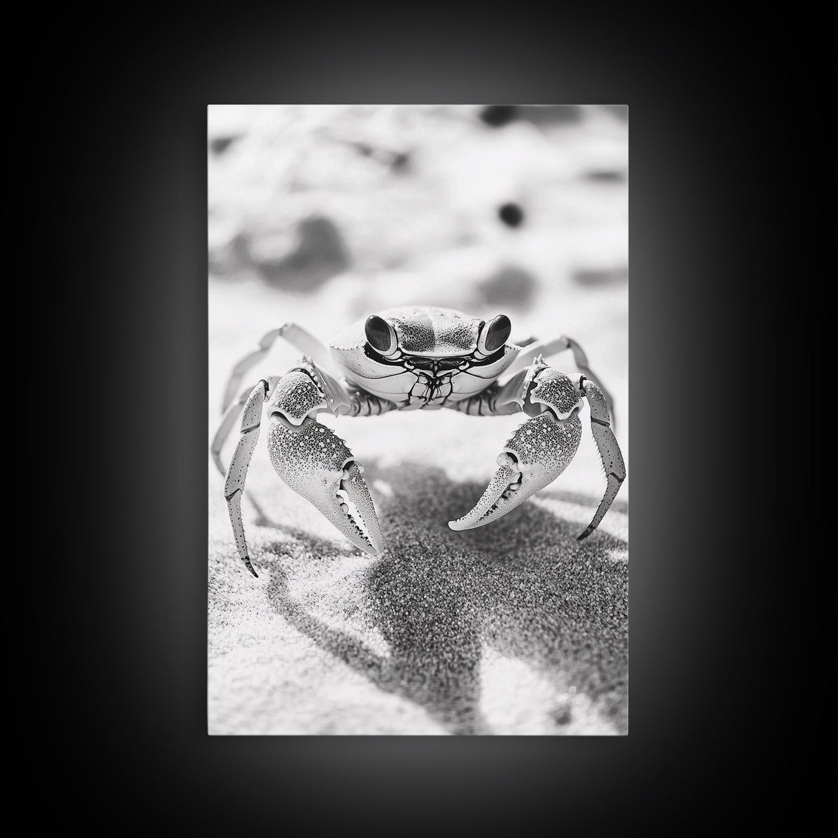 Sand Crab, Beach Macro, Ocean Critter Art, Framed Canvas Print, Coastal Bathroom Decor, Beach House Wall Art, Nature Close-Up