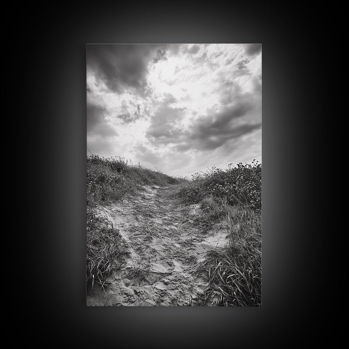 Sandy Trail, Ocean Path, Windy Grass, Moody Sky, Framed Canvas Print, coastal nature photography, hallway decor, rustic neutral art