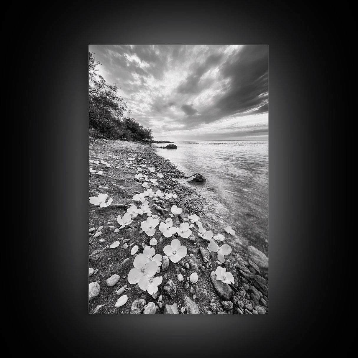 Flower Shore, Peaceful Beach, Moody Sky, Petal Scape, Framed Canvas Print, romantic beach art, bedroom decor, black and white floral print