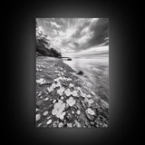 Flower Shore, Peaceful Beach, Moody Sky, Petal Scape, Framed Canvas Print, romantic beach art, bedroom decor, black and white floral print