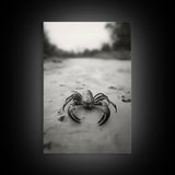 Desert Scorpion, Moody Wildlife, Sandy Ground, Focused Predator, Framed Canvas Print, edgy boho decor, masculine wall art, nature closeup