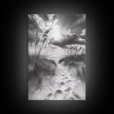 Beach Path, Seagrass Sunset, Radiant Sky, Coastal Light, Framed Canvas Print, coastal farmhouse decor, entryway art, sunshine beach scene