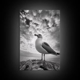 Coastal Seagull, Ocean Breeze, Serene Sky, Seaside Moment Framed Canvas Print, coastal decor, nautical bathroom wall art, nature photography