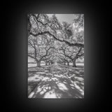 Oak Tree Tunnel, Southern Charm, Shaded Pathway, Timeless Trees Framed Canvas Print, farmhouse wall decor, hallway landscape art
