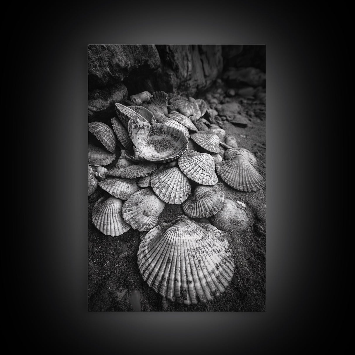 Seashell Pile, Textured Beach, Coastal Treasures, Natural Beauty Framed Canvas Print, bathroom decor, shell art, beach wall style