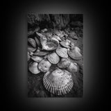 Seashell Pile, Textured Beach, Coastal Treasures, Natural Beauty Framed Canvas Print, bathroom decor, shell art, beach wall style