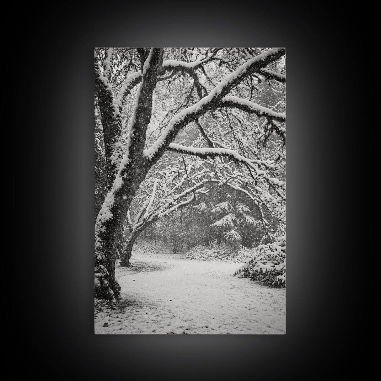 Snowfall Trees, Winter Forest, Nature Pathway, Canvas Print, Holiday Season Decor, Cozy Living Room or Cabin Wall Art