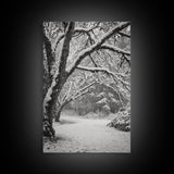 Snowfall Trees, Winter Forest, Nature Pathway, Canvas Print, Holiday Season Decor, Cozy Living Room or Cabin Wall Art