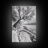 Coastal Snow, Barren Tree, Frozen Shoreline, Canvas Print, Serene Winter Decor, Entryway or Hallway Minimalist Wall Art