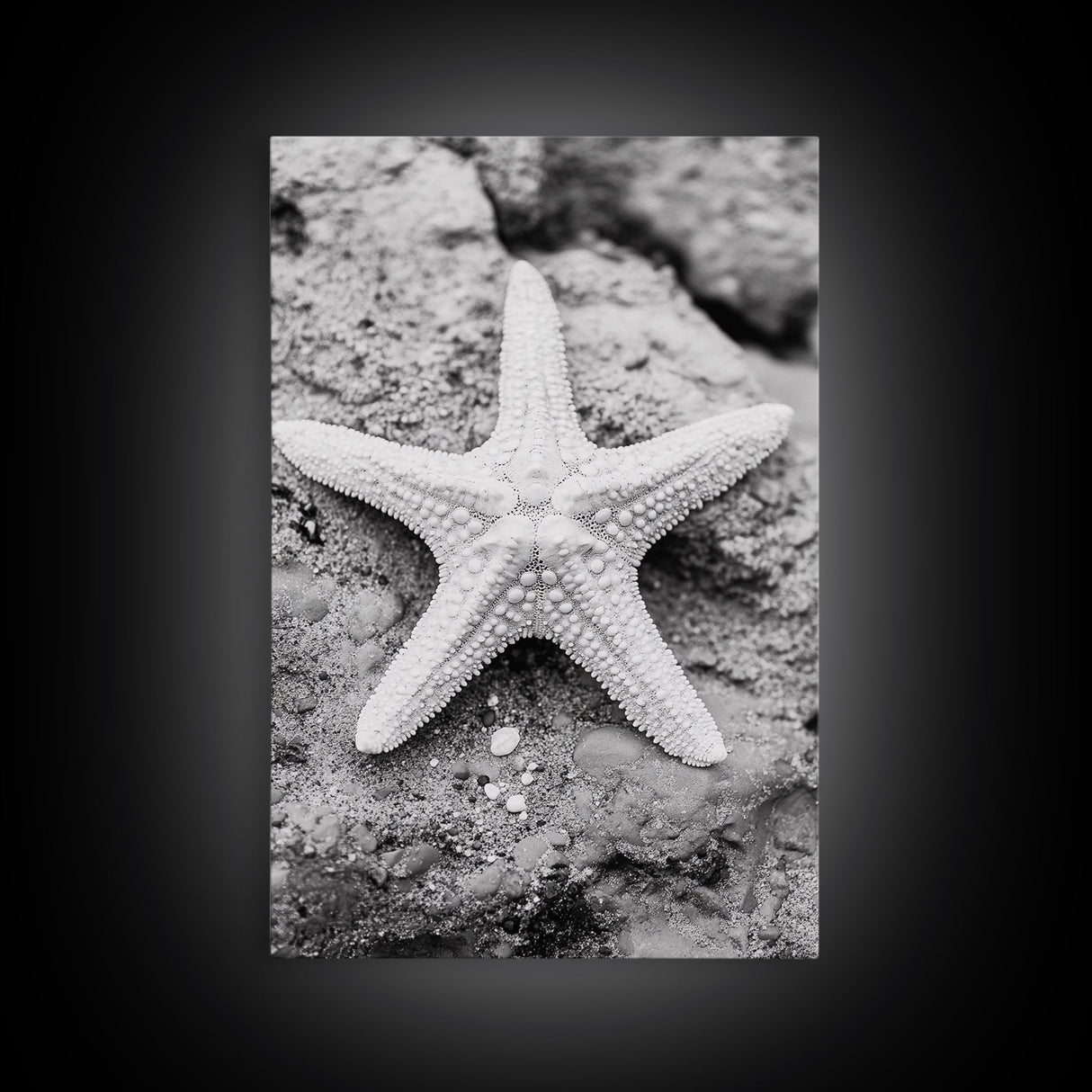 Starfish Closeup, Coastal Shell, Beach Texture, Framed Canvas Print, Bathroom or Ocean Nursery Decor, Minimal Beach Art