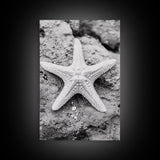 Starfish Closeup, Coastal Shell, Beach Texture, Framed Canvas Print, Bathroom or Ocean Nursery Decor, Minimal Beach Art