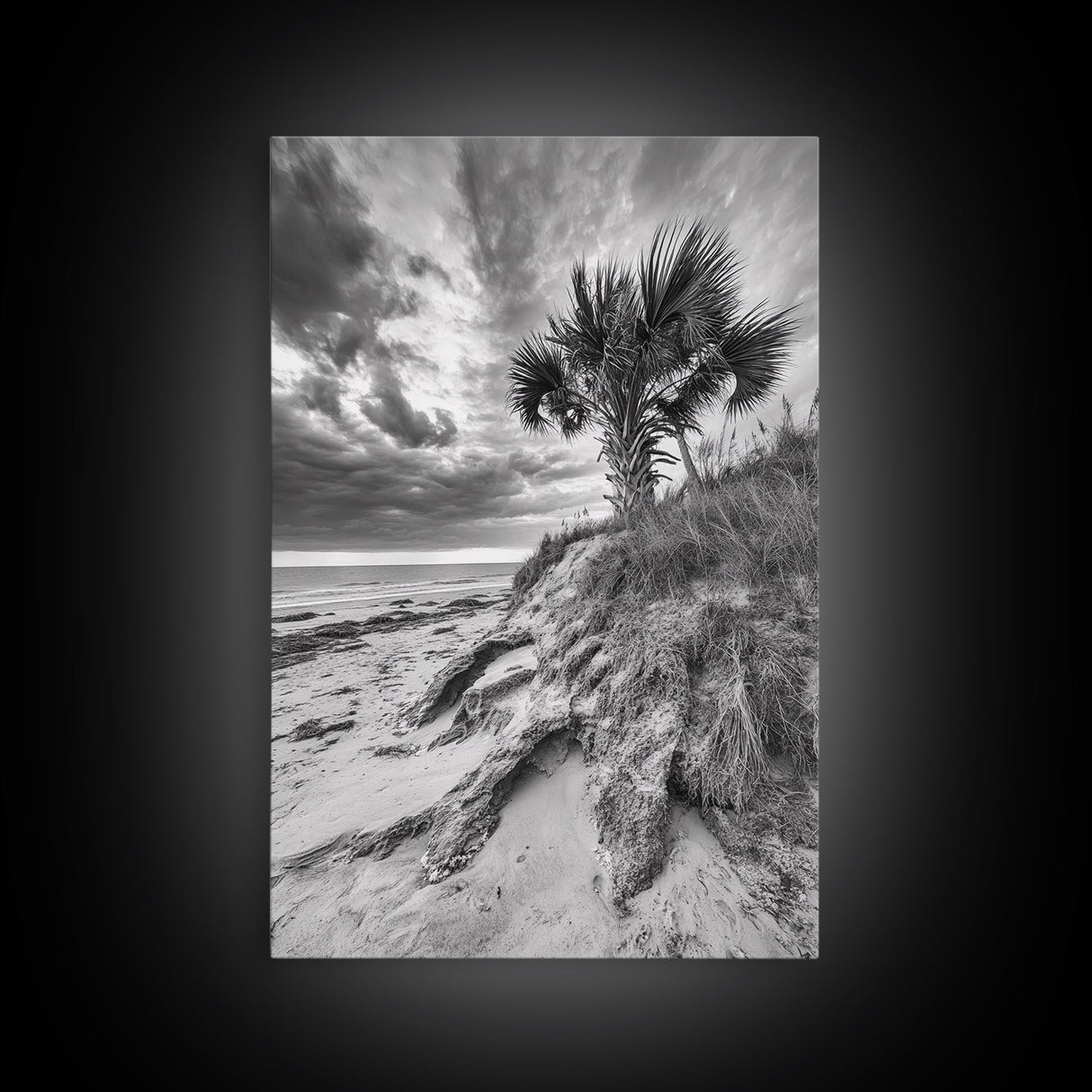 Palm Tree Beach, Coastal Dunes, Dramatic Sky, Framed Canvas Print, Tropical Wall Art, Boho Living Room Decor, Beach House Art