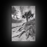 Palm Tree Beach, Coastal Dunes, Dramatic Sky, Framed Canvas Print, Tropical Wall Art, Boho Living Room Decor, Beach House Art