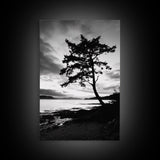 Coastal Tree, Pacific Northwest, Serene Landscape, Monochrome Nature Scene, Framed Canvas Print, Entryway Art, Rustic Cabin Wall Decor