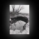 Reflected Trees Pool, Black White Nature, Moody Autumn Wall Art, Rustic Minimalist Style, Framed Canvas Print, Entryway Home Decor