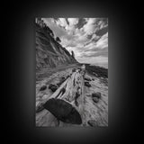 Driftwood Coastal Trail, Cliffside Path Nature Art, Rustic Cabin Style, Black White Photography, Framed Canvas Print, Hallway Wall Decor
