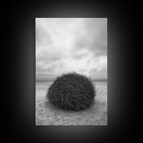 Windswept Beach Nest, Natural Sculpture, Driftwood Ball, Solitude Scene, Canvas Print, Minimalist Wall Art, Neutral Bedroom Decor