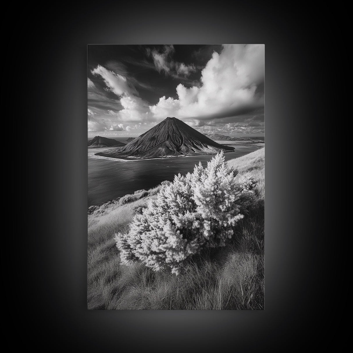 Majestic Volcano, Wild Grass, Black and White, Framed Canvas Print, Nature Photography, Office Decor, Moody Art, Rustic Wall Art
