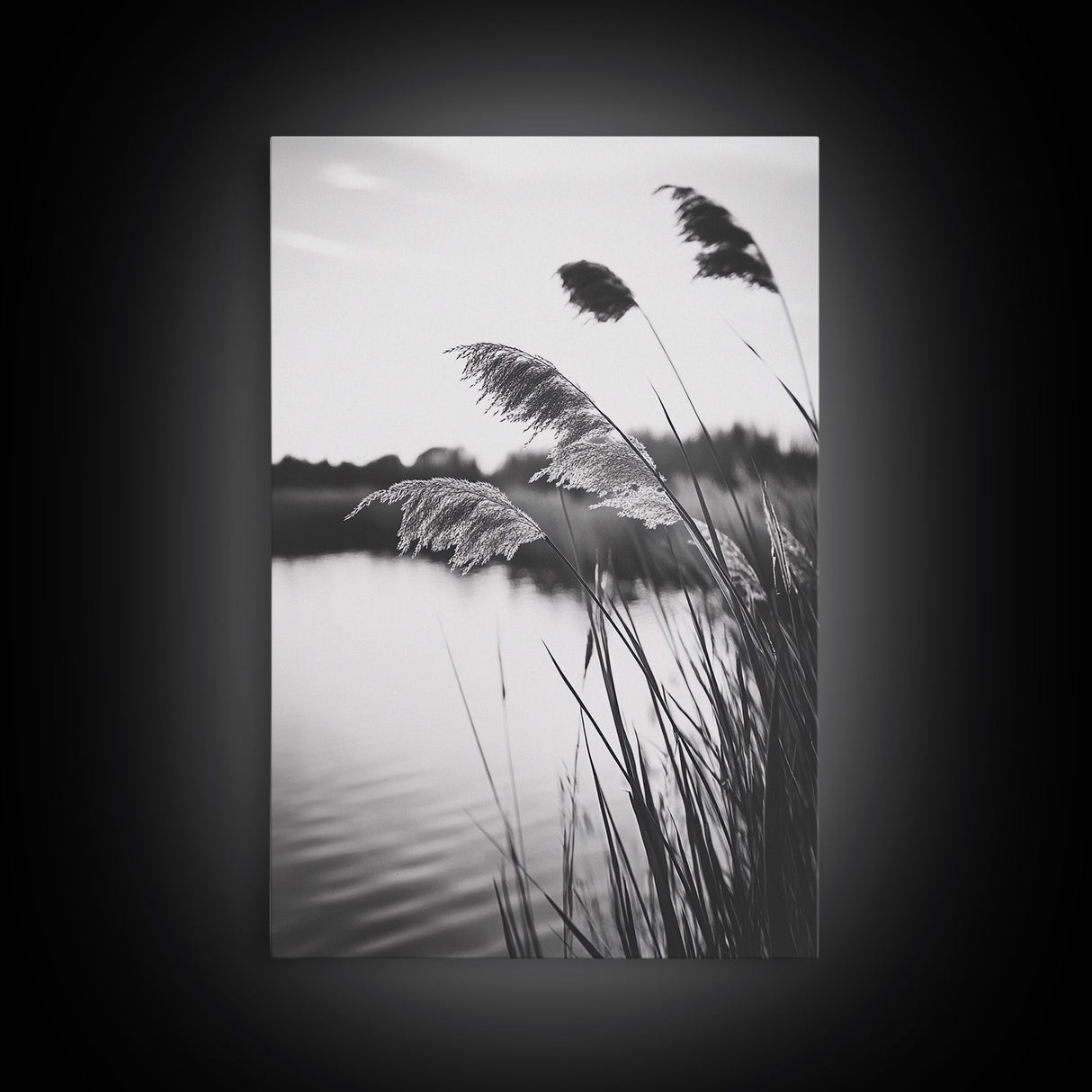 Reed Grass, Gentle Breeze, Black and White Nature, Canvas Print, Minimalist Wall Art, Tranquil Lake Scene, Bedroom Decor