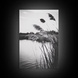 Reed Grass, Gentle Breeze, Black and White Nature, Canvas Print, Minimalist Wall Art, Tranquil Lake Scene, Bedroom Decor