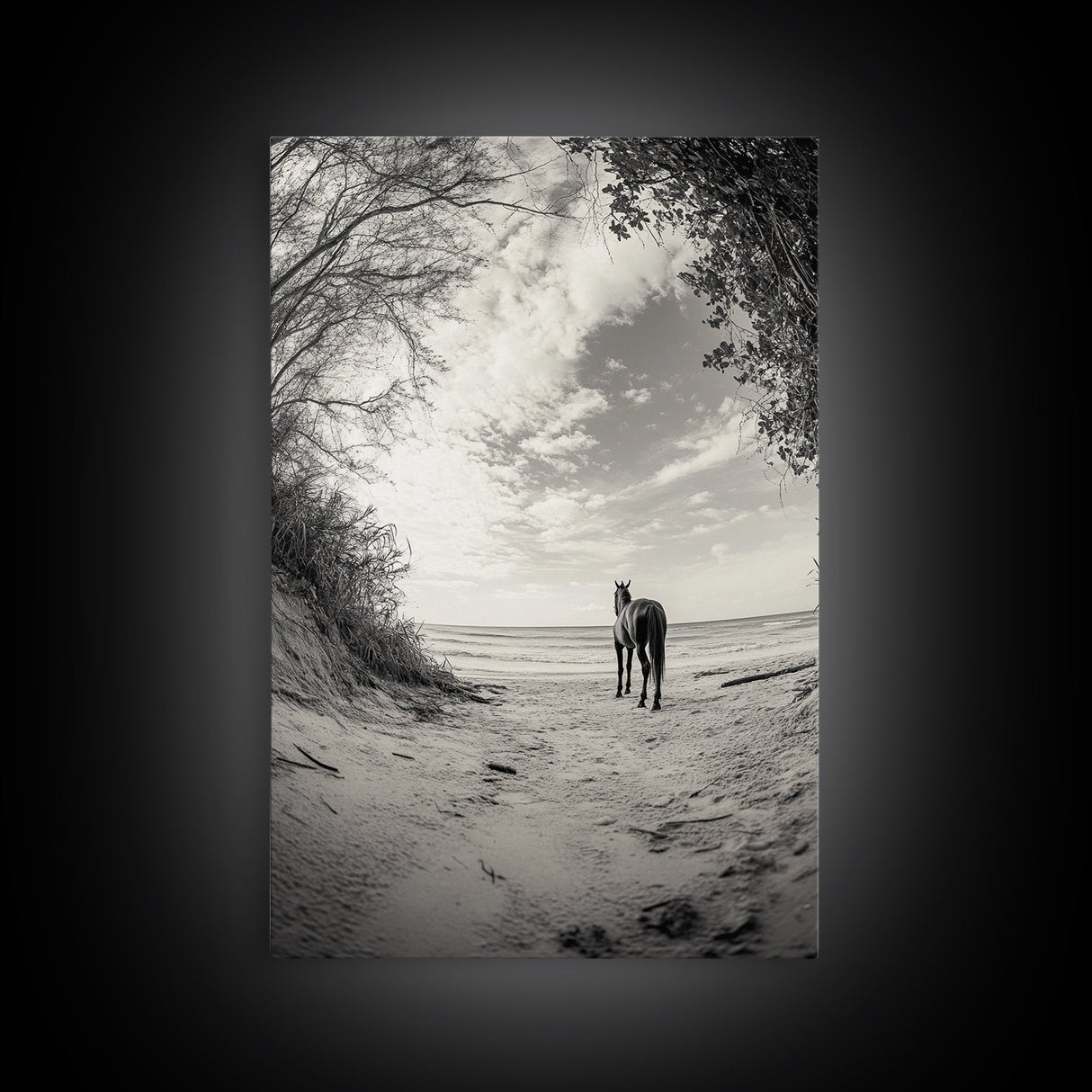 Horse on Shore, Ocean Path Scene, Wild Beauty, Serene Escape, Framed Canvas Print, Boho Wall Art, Bedroom or Entryway Decor