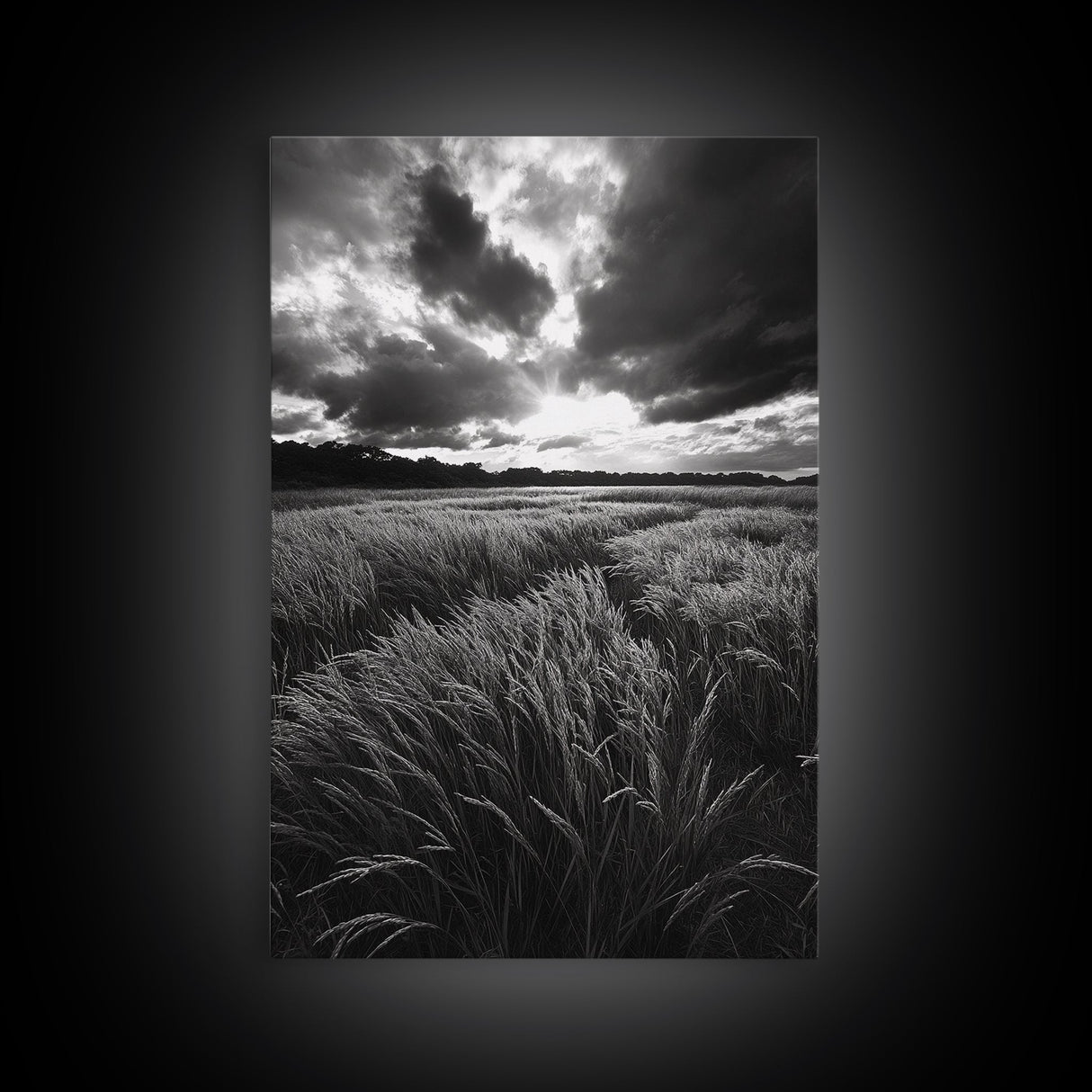 Golden Grass Field, Dramatic Sunset, Autumn Skies, Nature Movement, Framed Canvas Print, Fall Landscape Art, Living Room Decor