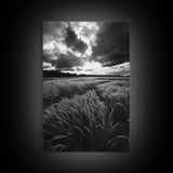 Golden Grass Field, Dramatic Sunset, Autumn Skies, Nature Movement, Framed Canvas Print, Fall Landscape Art, Living Room Decor