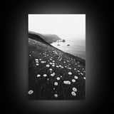 Daisy Cliffside Bloom, Coastal Flowers, Peaceful Nature Scene, Framed Canvas Print, Bedroom Wall Art, Botanical Decor, Minimalist Style