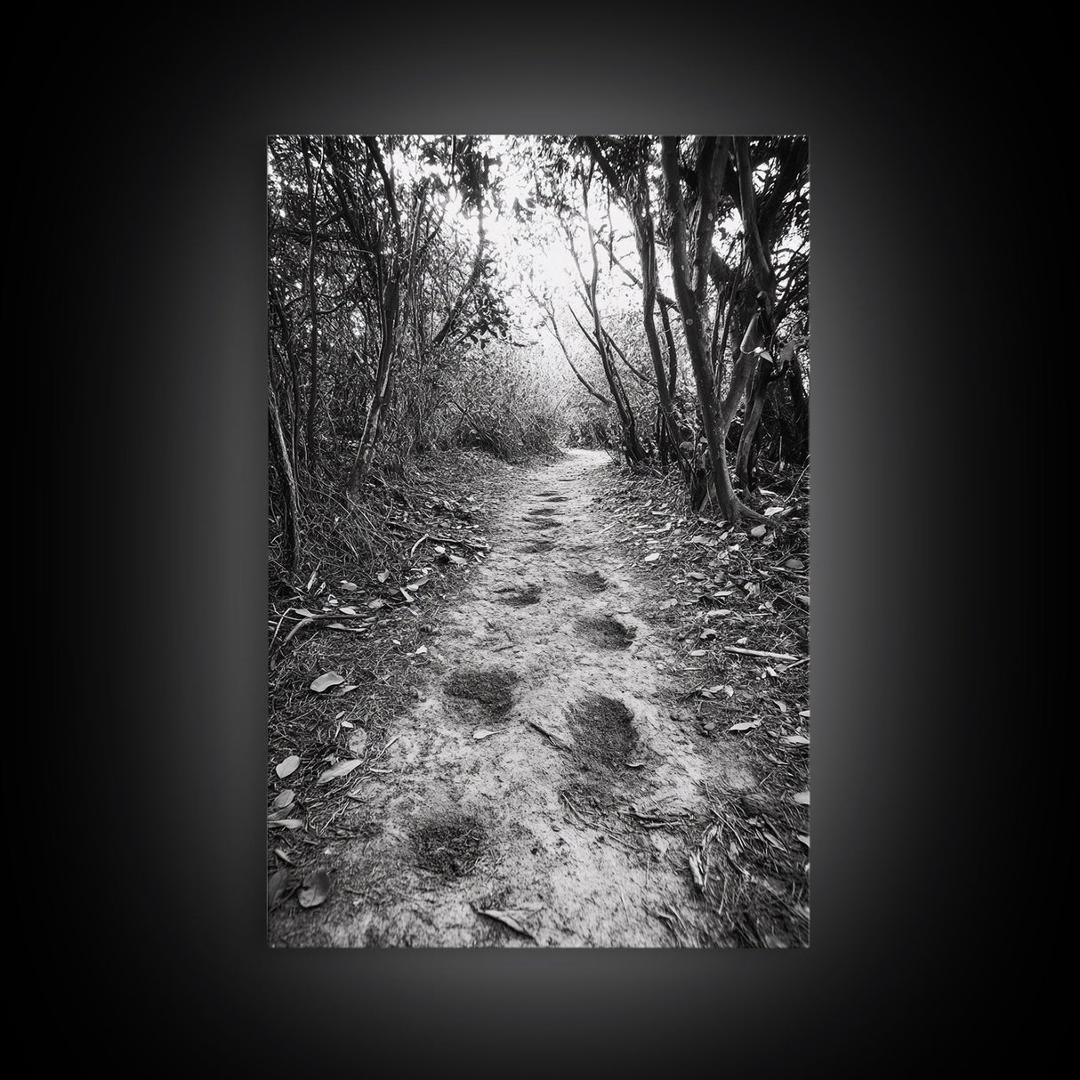 Forest Trail Path, Woodland Escape, Nature Walk, Adventure Art, Framed Canvas Print, Office Wall Decor, Autumn Vibes, Rustic Nature Style