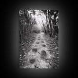 Forest Trail Path, Woodland Escape, Nature Walk, Adventure Art, Framed Canvas Print, Office Wall Decor, Autumn Vibes, Rustic Nature Style