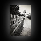 Palm Fence, California Pathway, Suburban Tranquility, Canvas Print, Outdoor Wall Art, Neutral Tones, Modern Minimalist Home Vibe