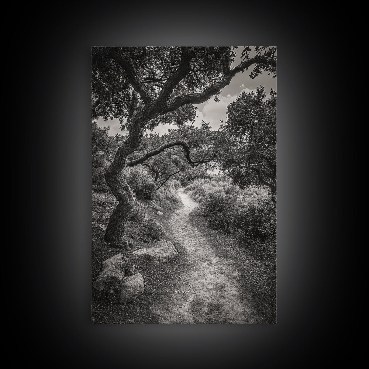 Forest Path, Twisting Trees, Nature Trail Scene, Framed Canvas Print, Earthy Wall Art, Boho Woodland Decor, Entryway or Hallway Accent