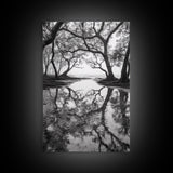 Misty Forest Trees, Reflection Photography, Nature Landscape, Canvas Print, Neutral Tones, Bedroom Wall Decor, Moody Autumn Forest Art