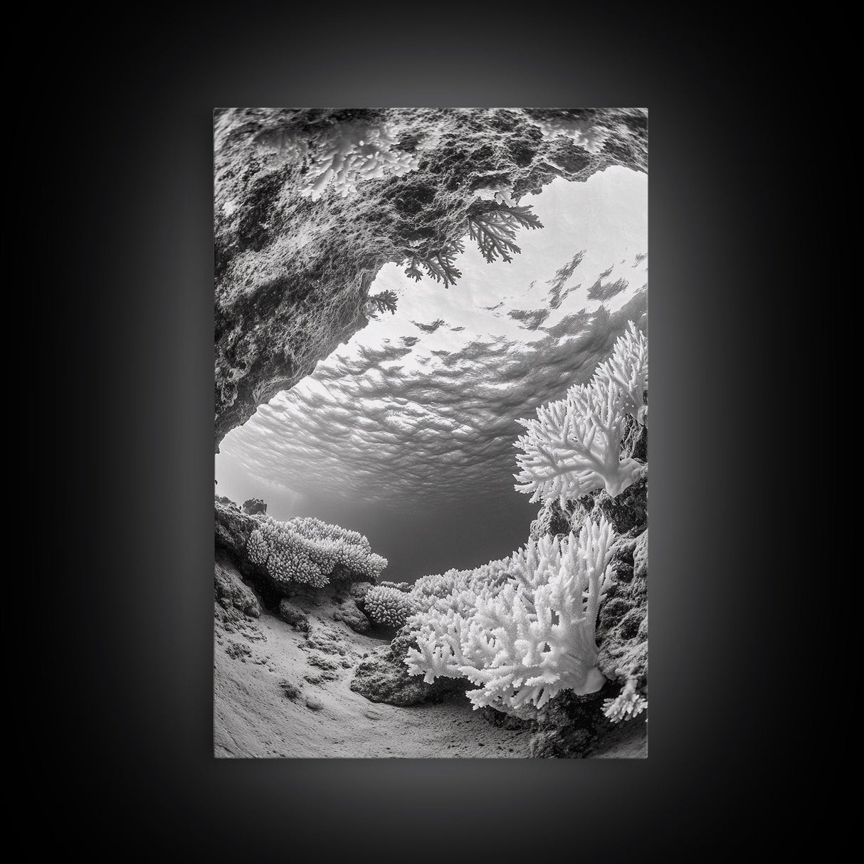 Coral Reef Underwater, Ocean Photography, Marine Nature Scene, Framed Canvas Print, Bathroom Wall Art, Coastal Minimalist Decor